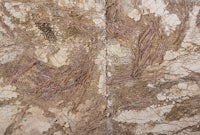 a close up of a stone wall with a pattern on it - stock image