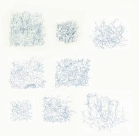 a series of drawings of plants and grasses